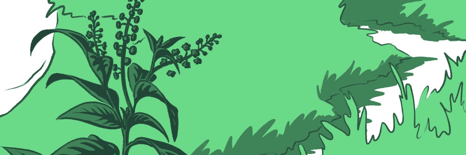 Meredith Simkins Hayes banner