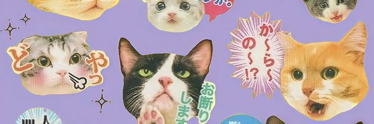 anka 🐈 nr 1 michi enjoyer's banner