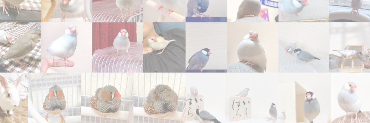 pof572's profile banner image