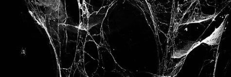 DaniDee_123's profile banner image