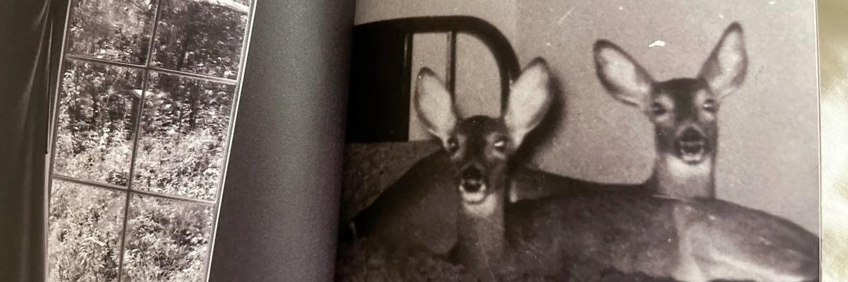۟'s banner