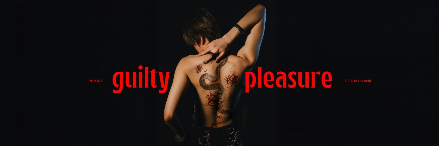 StreamForPPKrit banner