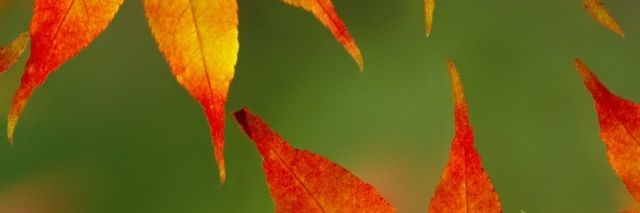 radioradiation's profile banner image