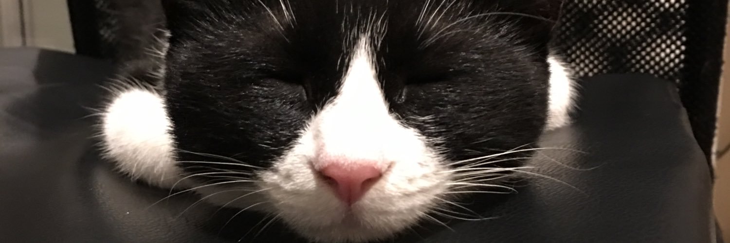 ketsukasu's profile banner image