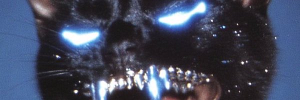 aubreybubbles Profile Banner