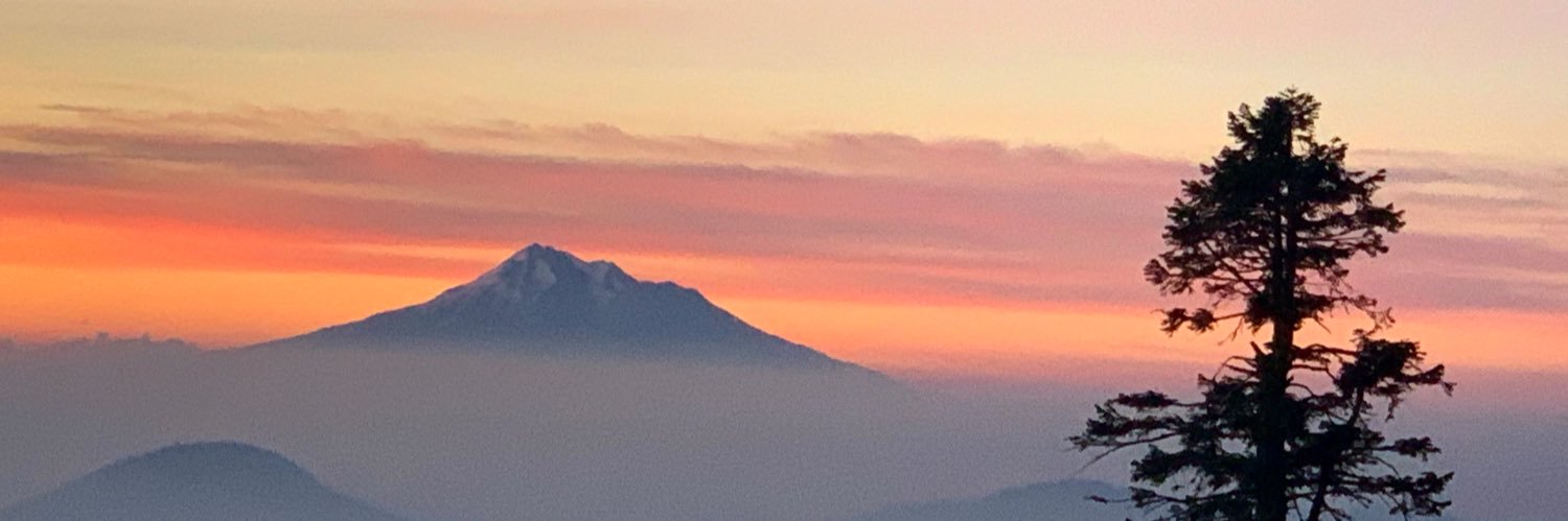 AngelaAldatz's profile banner image