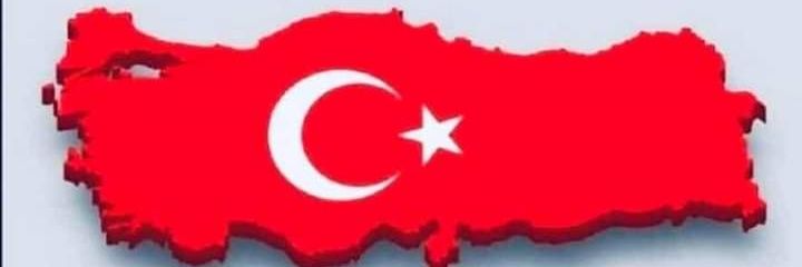 homelandwatcher's profile banner image