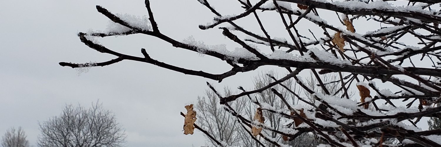 Jeungsoon Park banner