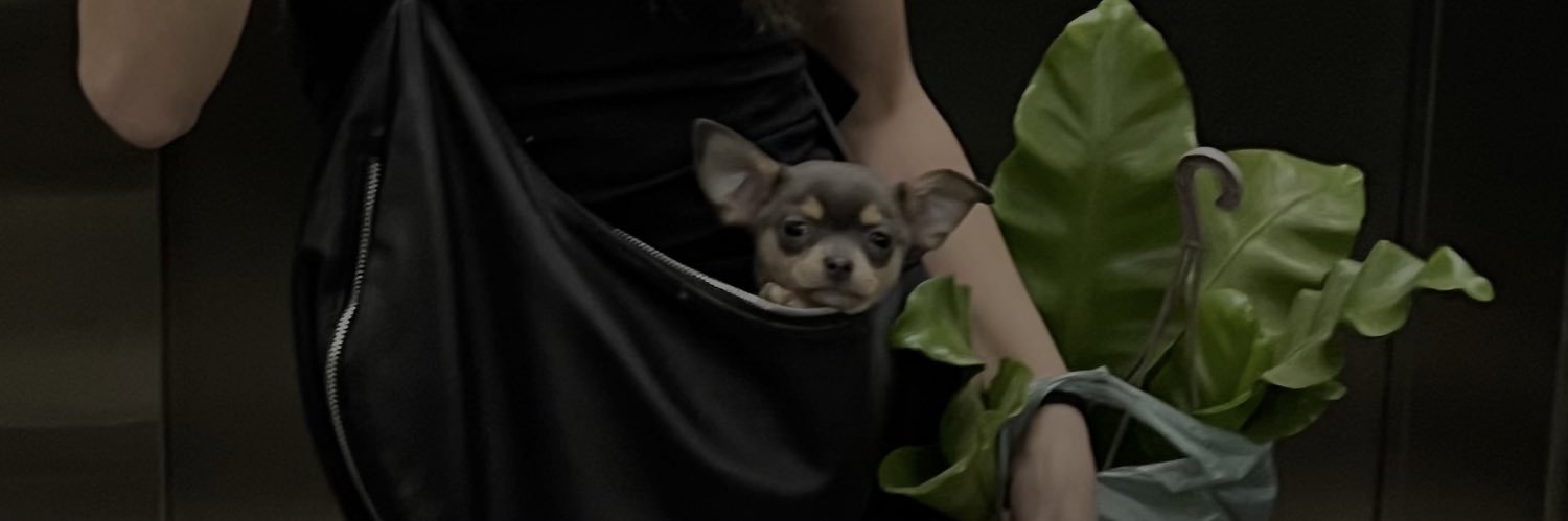 Caami02's profile banner image