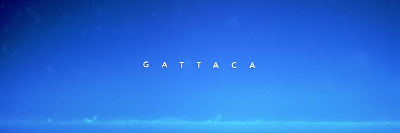morpheus ⚡️ banner