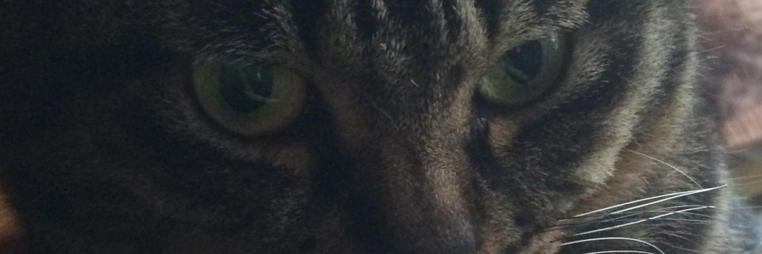 ina_robo's profile banner image