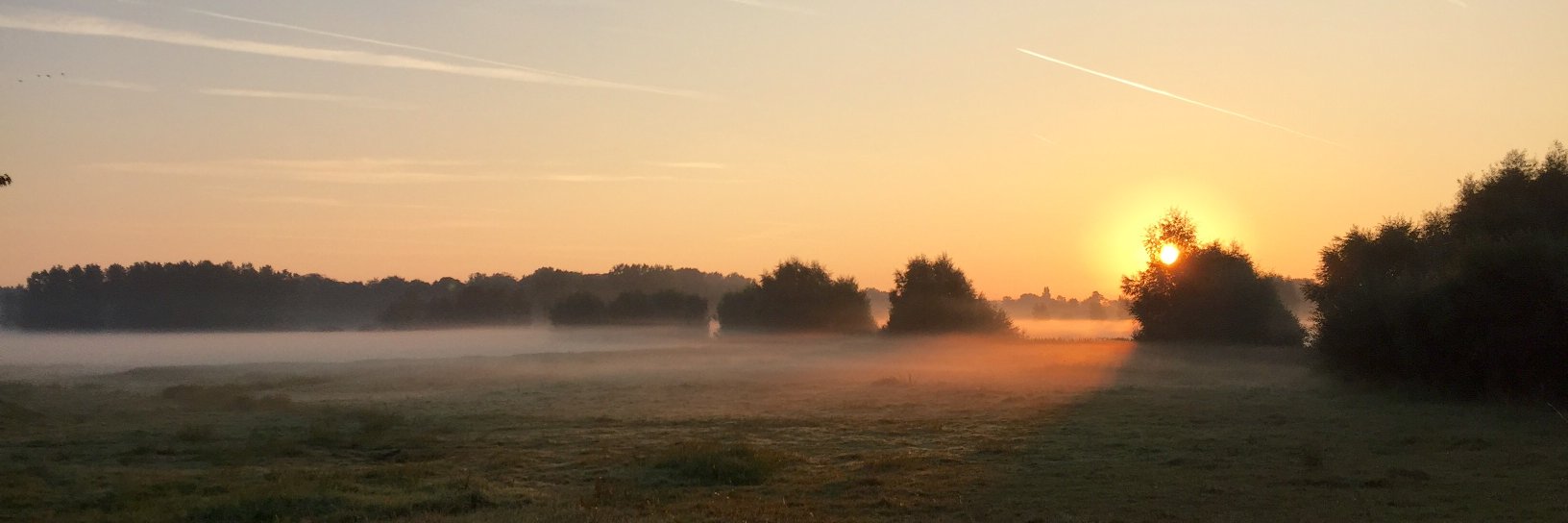 Dieter_VL's profile banner image