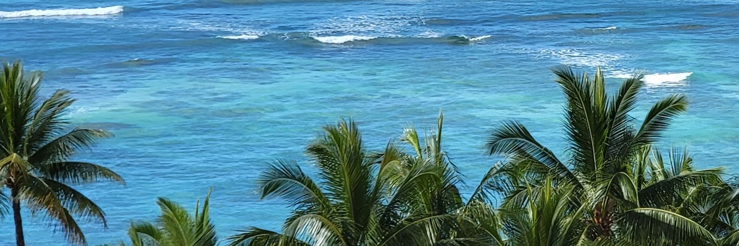 mellofello808's profile banner image