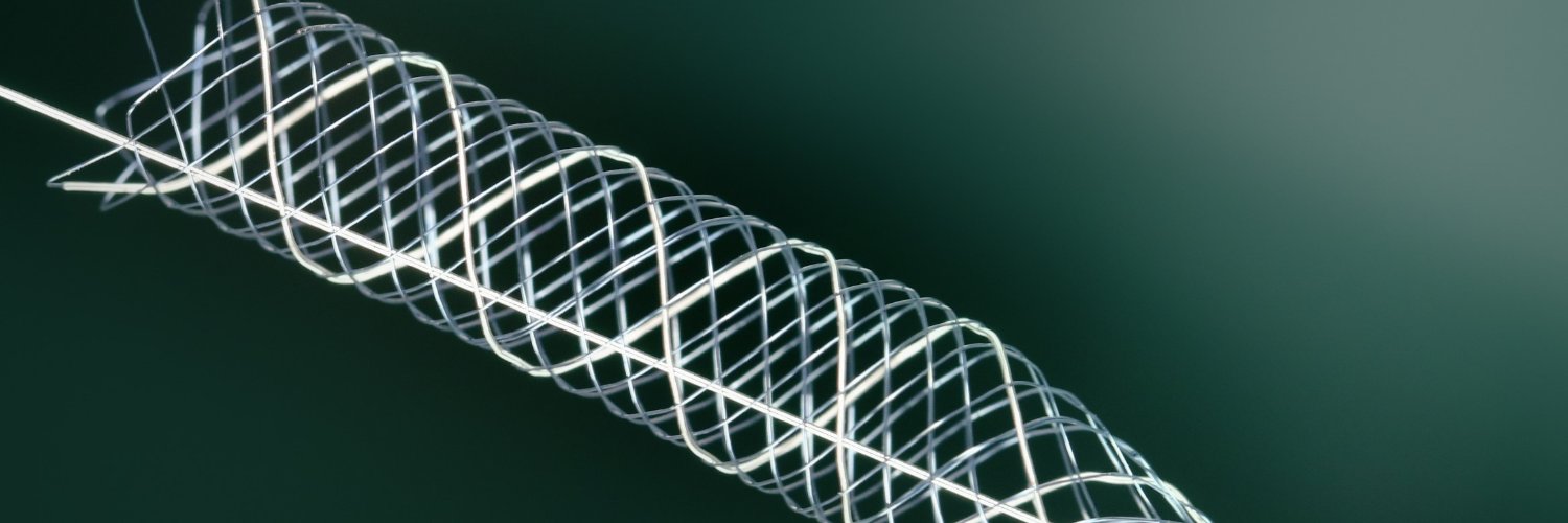 Balt Portugal banner