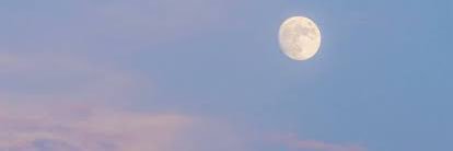 (っ◔◡◔)っ ♡ banner