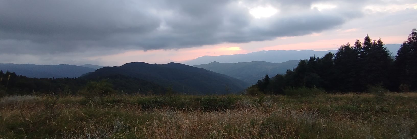 ozibrhm74's profile banner image