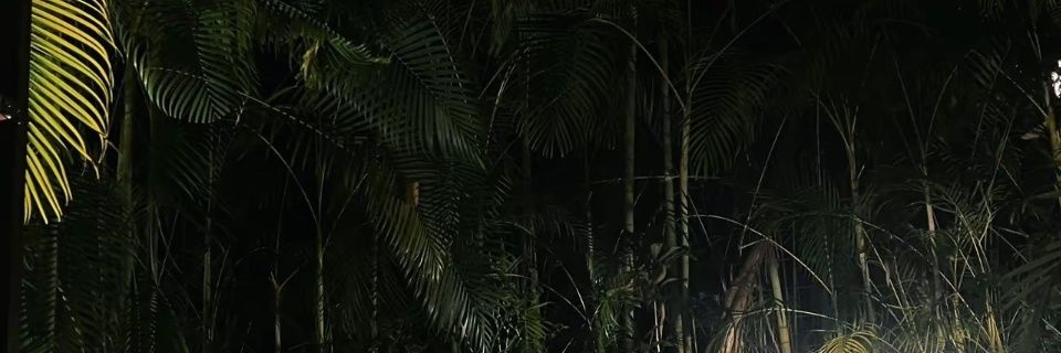 别管我了 banner