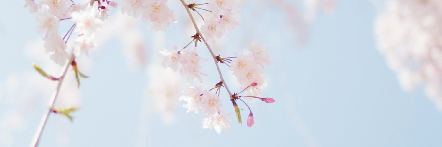 Monica Messaggi Kaya banner