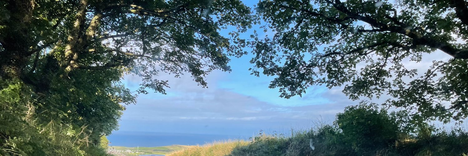 frankiegilman's profile banner image