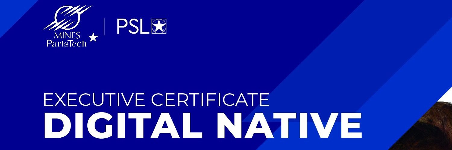 npetit's profile banner image