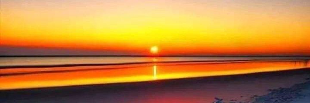 ◦•●◉✿𝙅𝙖𝙘𝙠𝙡𝙞𝙣𝙚✿◉●•◦ banner