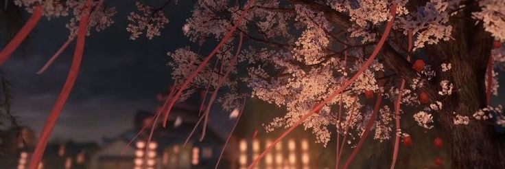 Wapii banner
