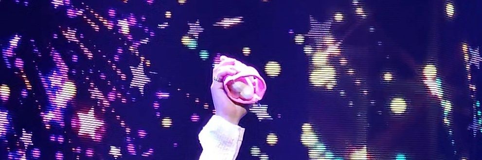 ℝ𝕒𝕧𝕚𝕕 banner