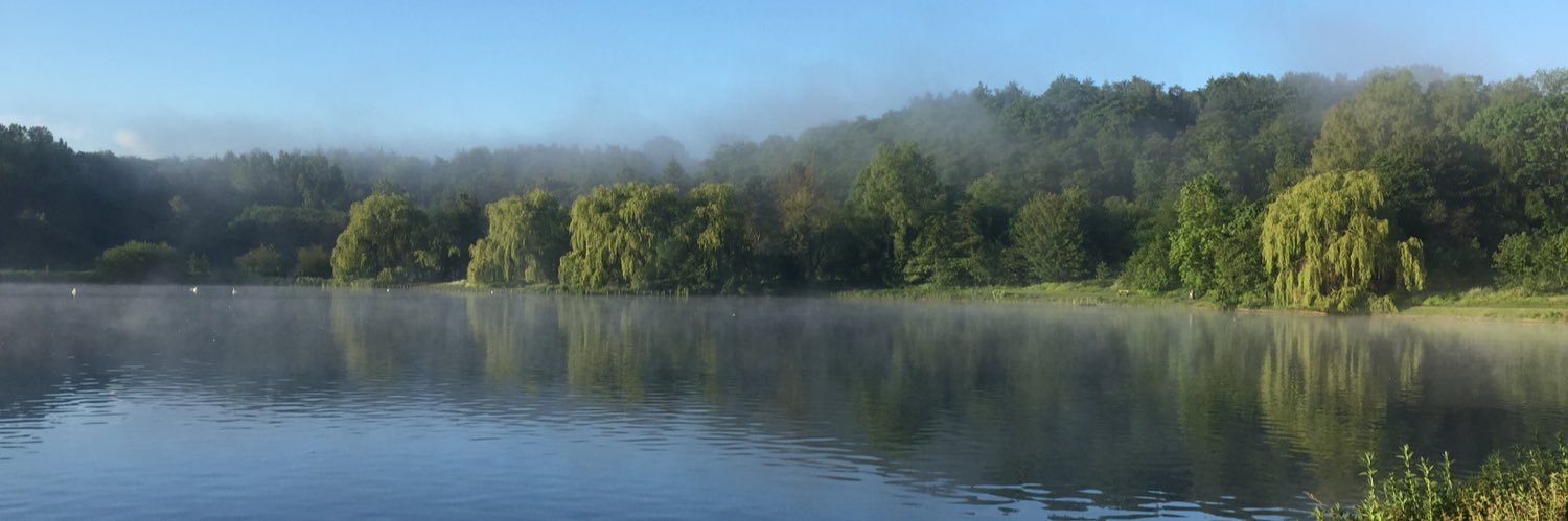 robertburton's profile banner image