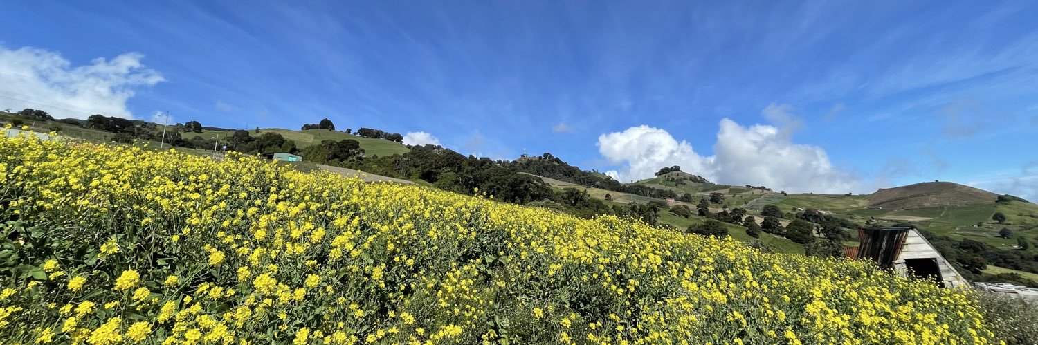 BLANCOMARCOS's profile banner image