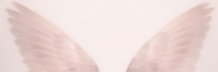 _callmesweety_'s profile banner image