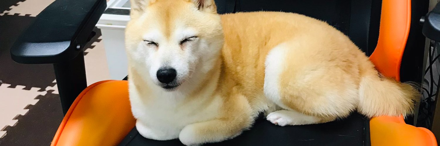 mugicocoamaroon's profile banner image