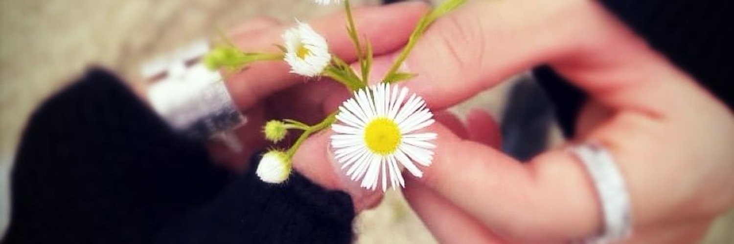 832kix4's profile banner image