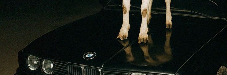 crispycrunchGEN's profile banner image