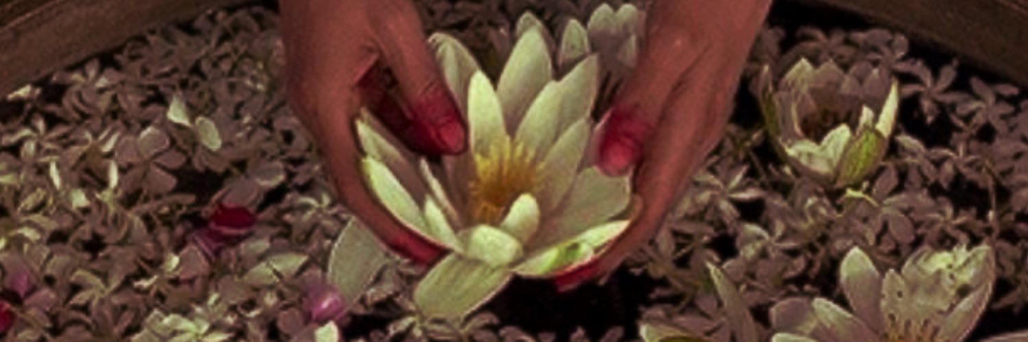 sami is drafting 🍉 banner