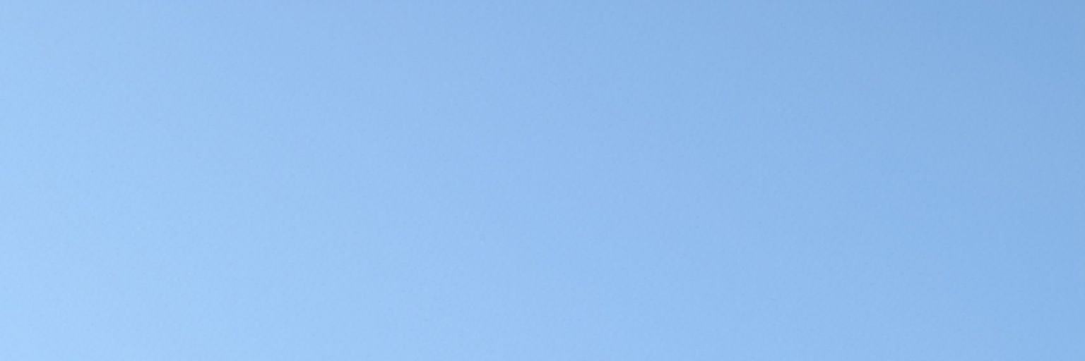 Cactguy420's profile banner image