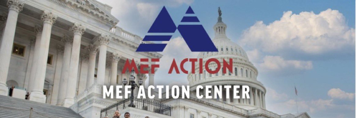 MEF Action banner