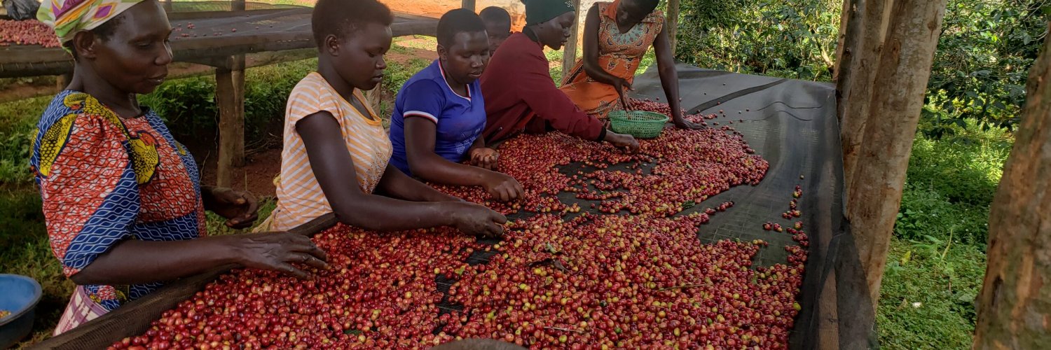 Mtelgoncoffee - MEACCE banner