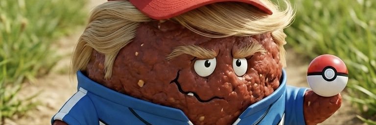 MAGA Meatball banner