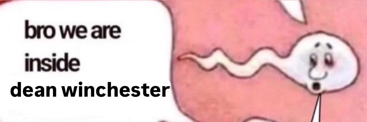 leah's banner