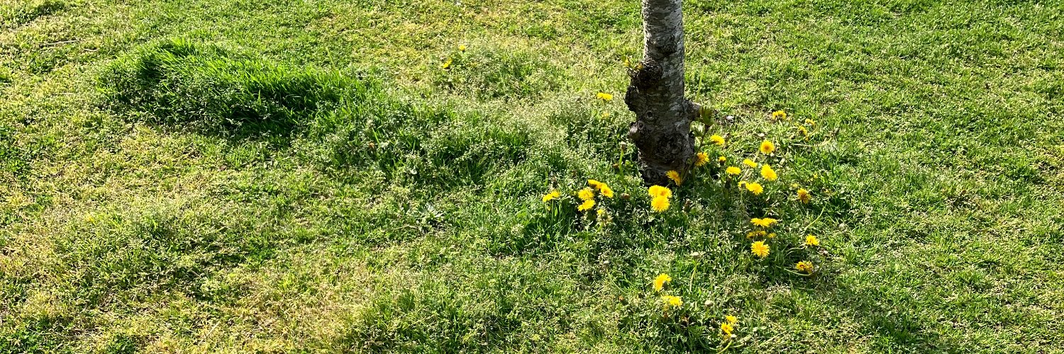 LEMONADExGARDEN's profile banner image