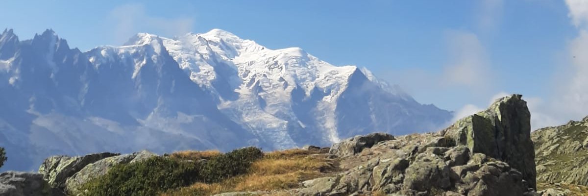 agnesseverin's profile banner image