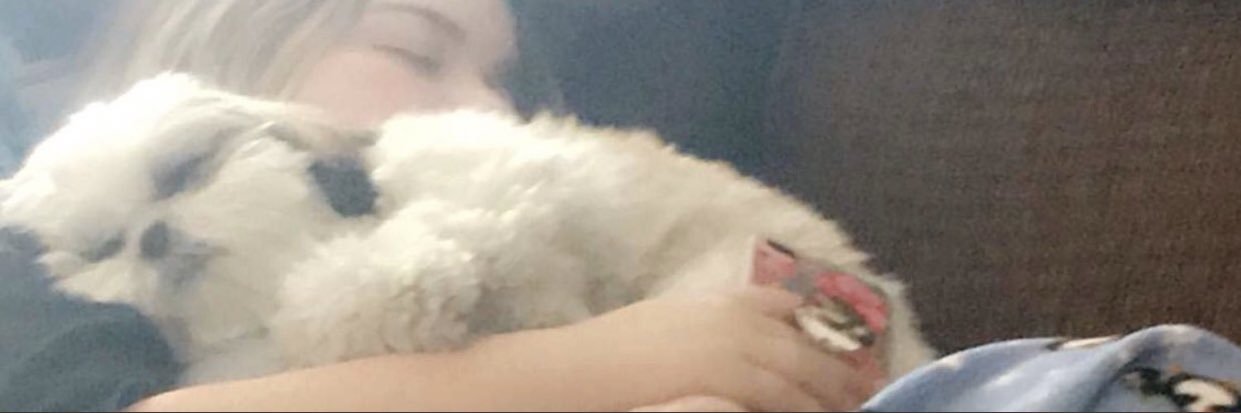 HausofLo's profile banner image