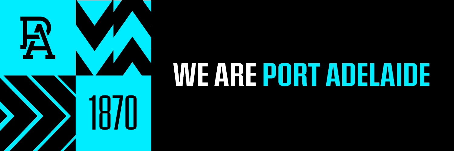 PAFC's profile banner image
