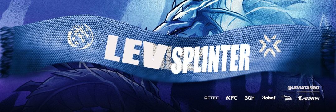 LevSplinterGG's profile banner image
