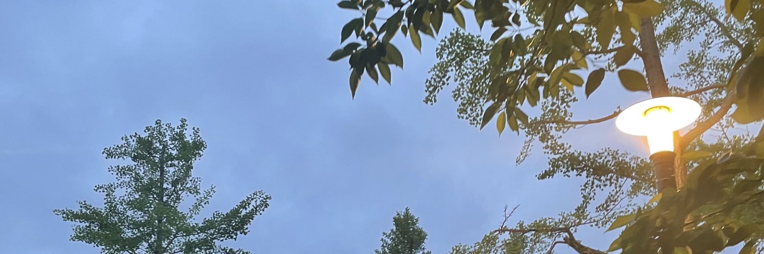 イチ🍓 banner