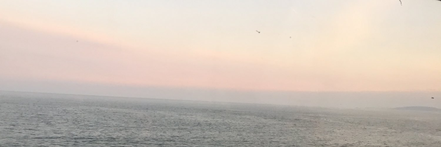susannahkeogh's profile banner image