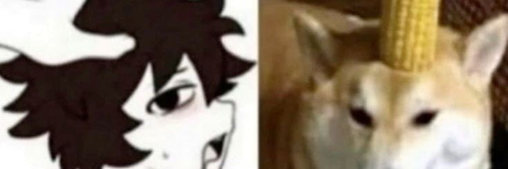SpiccyyyOK's profile banner image