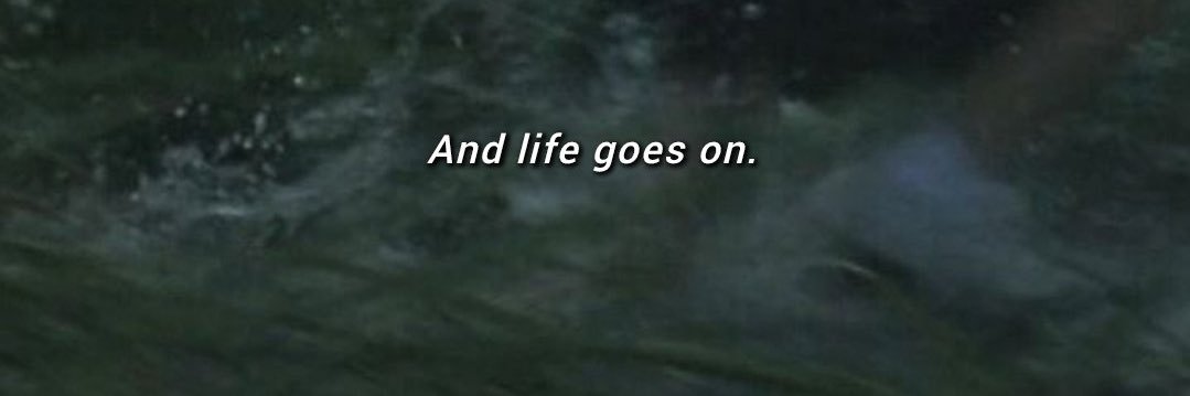 ninylz's profile banner image