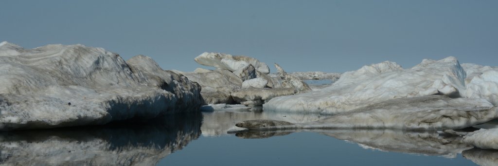 Andrew | @generalising@mastodon.flooey.org banner