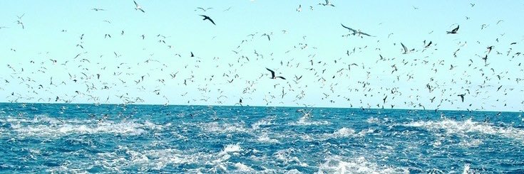 lonufen85's profile banner image